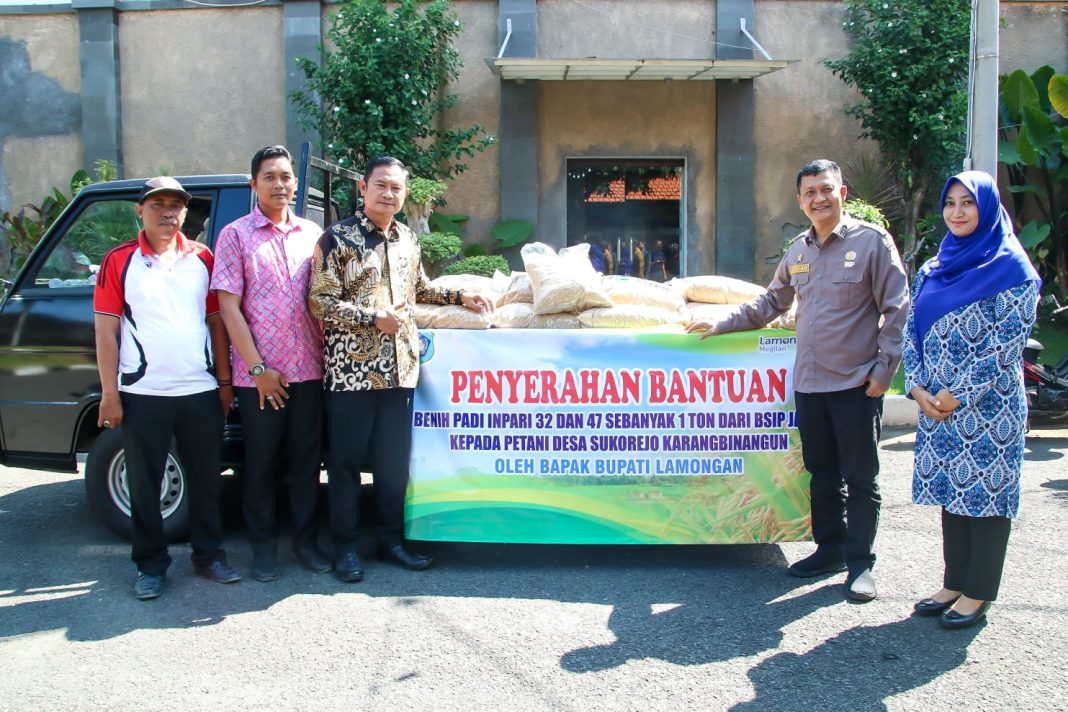 Demplot Benih Inpari 32 dan Inpari 47 untuk Petani Sawah Tambak Sukorejo, 1 Ton Benih mulai Disalurkan