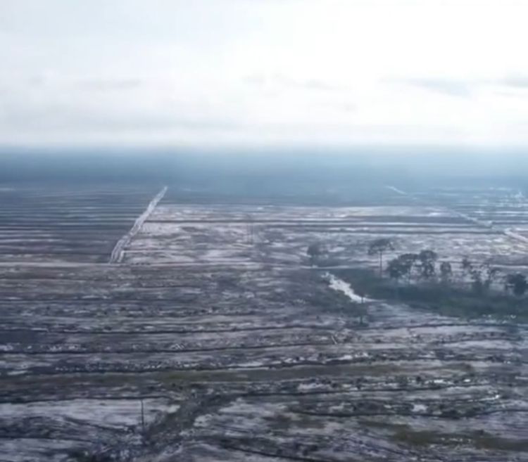 BEM PTNU Se-Nusantara Mengecam Keras dan Menempatakan Isu Food Estate Sebagai Isu Prioritas