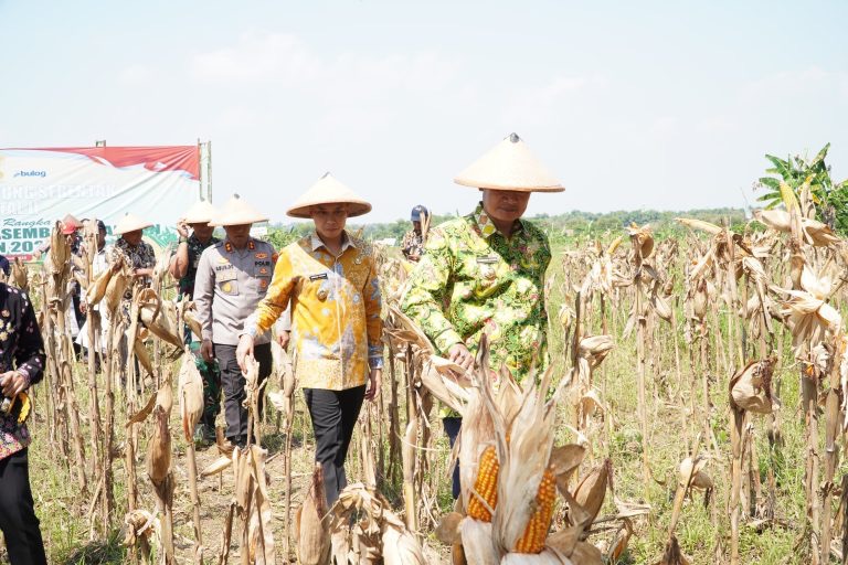 Lamongan Siap Jadi Sentra Industri Pakan Ternak Terbesar se-Asia Tenggara