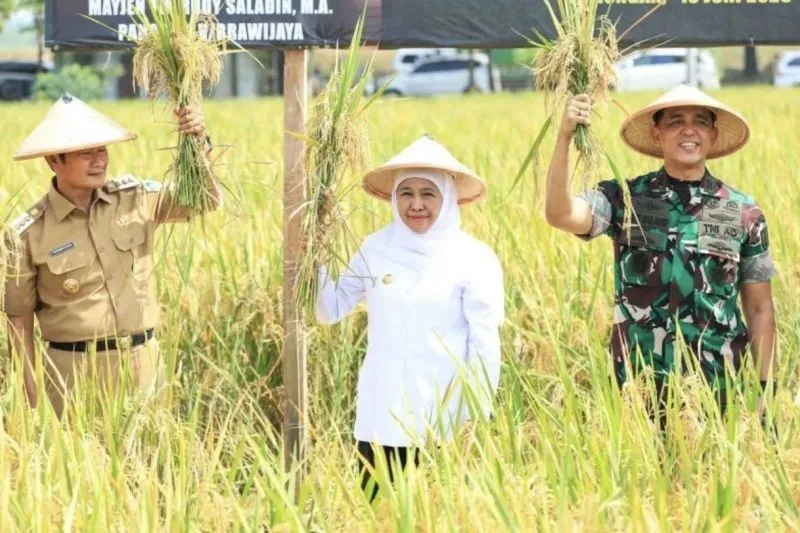 Gubernur Jatim Puji Program Pertanian Terintegrasi Kodim 0812 Lamongan