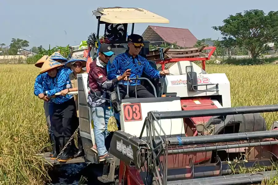 Lebih dari Sekadar Pembinaan: Lapas Lamongan Cetak Warga Binaan Mandiri Lewat Pertanian dan Perikanan Produktif!