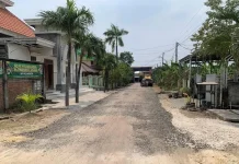 Pecah Rekor! 304 Desa Mandiri Lamongan Bukti Nyata Bukan Sekadar Janji Politik Ilustrasi kemajuan pembangunan desa mandiri di Lamongan dengan infrastruktur modern, lahan pertanian produktif, dan warga yang berdaya.