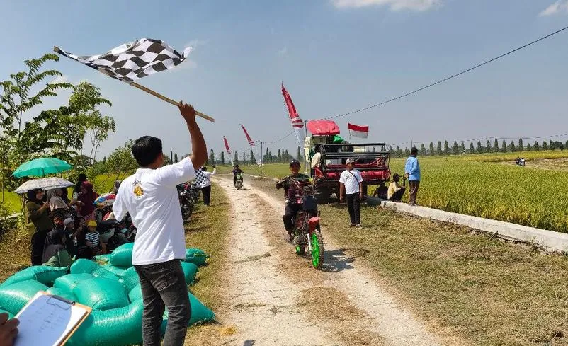 aksi pembalap ojek gabah Lamongan yang memacu motor modifikasi, mengangkut karung padi, dan membelah lumpur sawah dengan agresif.